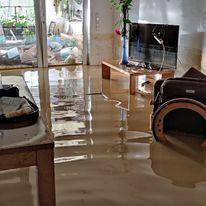 227255979_550009206413257_2922154926477272708_n