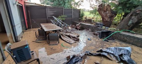 FB_IMG_1678190500407