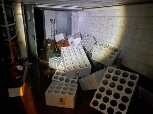 FB_IMG_1678190619277