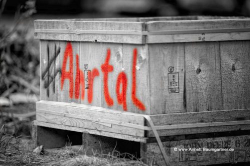 Flut-Ausstellung_Baumgartner_Kiste_ohneSig