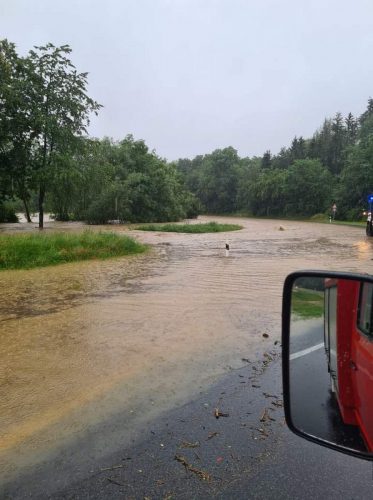 Flut-Ausstellung_Kraatz_7